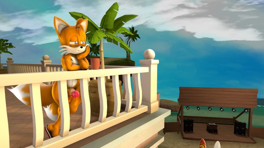 16:9 admiring anthro balcony beach blue_eyes canid canine clothing container cup erection footwear fox genitals hi_res male mammal mug neotaurus nude palm_tree penis plant sandals sega shoes solo sonic_(series) sonic_the_hedgehog_(series) surfboard tails tree widescreen