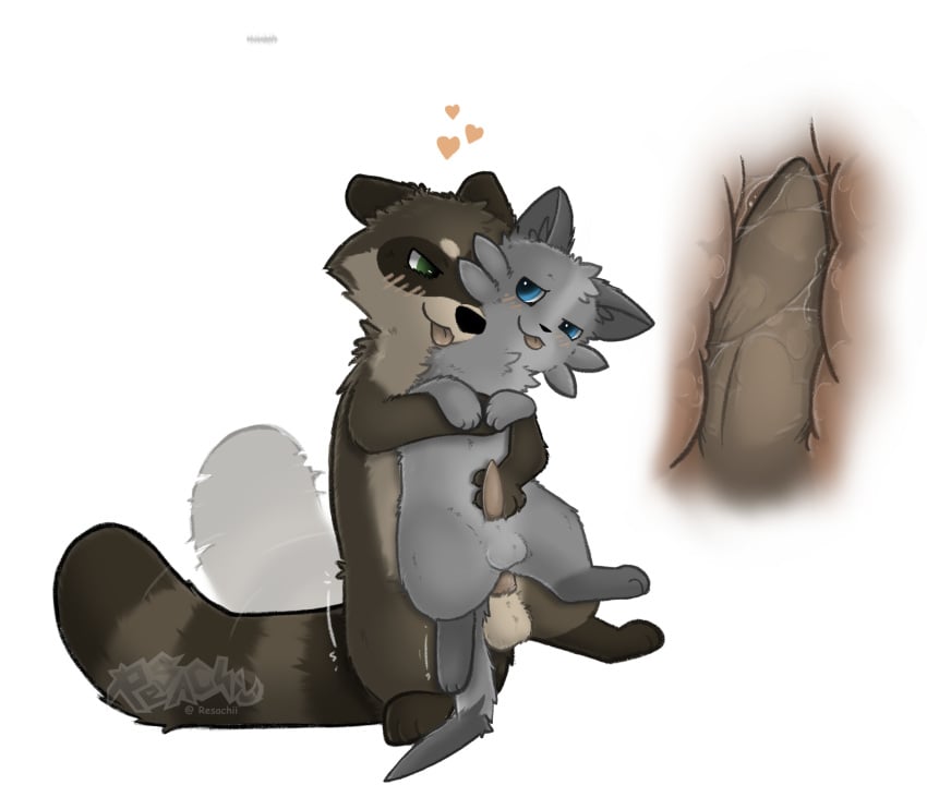 anal balls blep blush brown_body brown_fur domestic_ferret fur genitals grey_body grey_fur gulonine hi_res male male/male mammal marten mustelid musteline penetration penis procyonid raccoon resachii sachii_(resachii) semi-anthro sex smug tan_body tan_fur tongue tongue_out true_musteline weasel