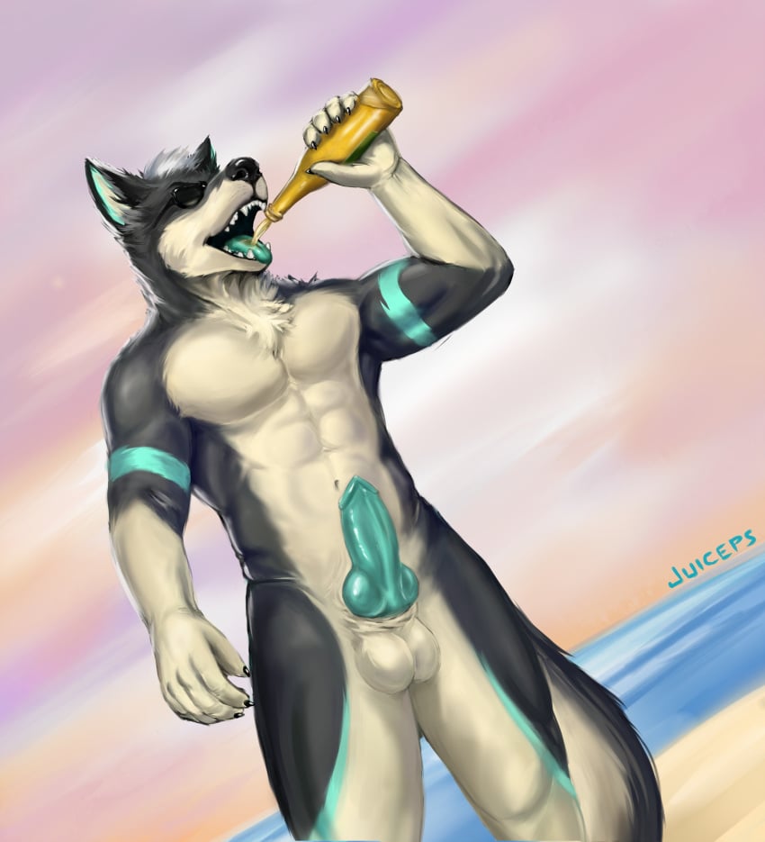 2019 5_fingers abs absurd_res alcohol anatomically_correct anatomically_correct_penis animal_genitalia animal_penis anthro balls beach beer beverage biceps biped black_claws black_fur black_nose black_tail bottle canid canine canine_penis canis claws detailed_background domestic_dog drinking dutch_angle erection eyewear front_view fur green_penis green_tongue hair hi_res holding_bottle holding_object husky juice_(character) juiceps knot male male_only mammal multicolored_fur multicolored_tail muscular muscular_male navel nordic_sled_dog nude open_mouth outside pecs penis sea seaside short_hair signature solo spitz standing sunglasses teeth tongue two_tone_fur two_tone_tail water white_balls white_fur white_hair white_tail