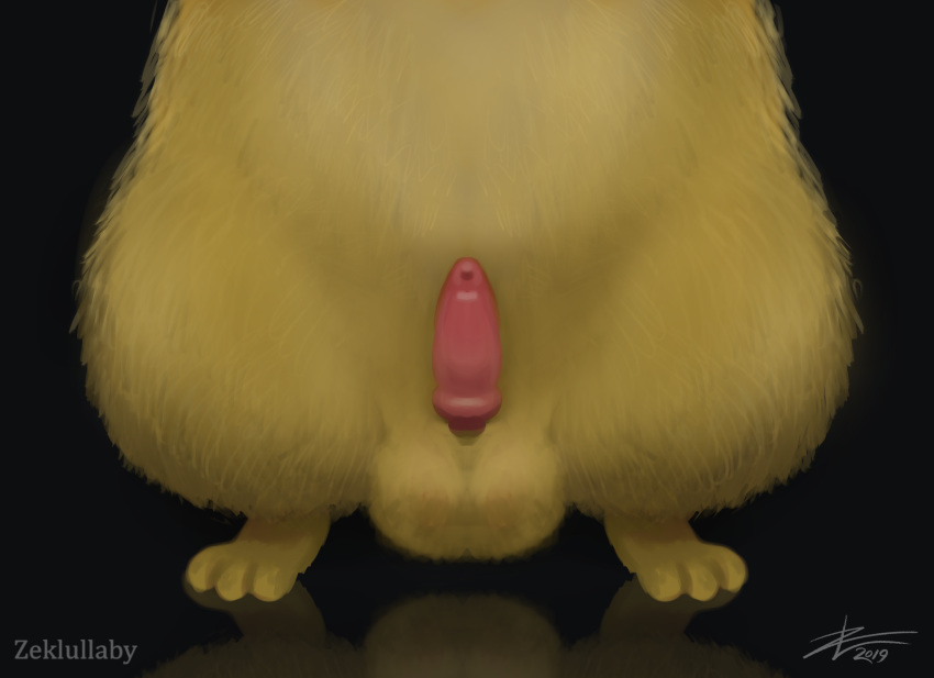 1boy 2019 animal_genitalia biped black_background close-up erection feet feral front_view fur furry hi_res male male_only mammal nintendo nude paws pikachu pokémon_(species) pokemon pokemon_rgby rodent sheath simple_background solo testicles text video_games watermark yellow_fur zekromlover