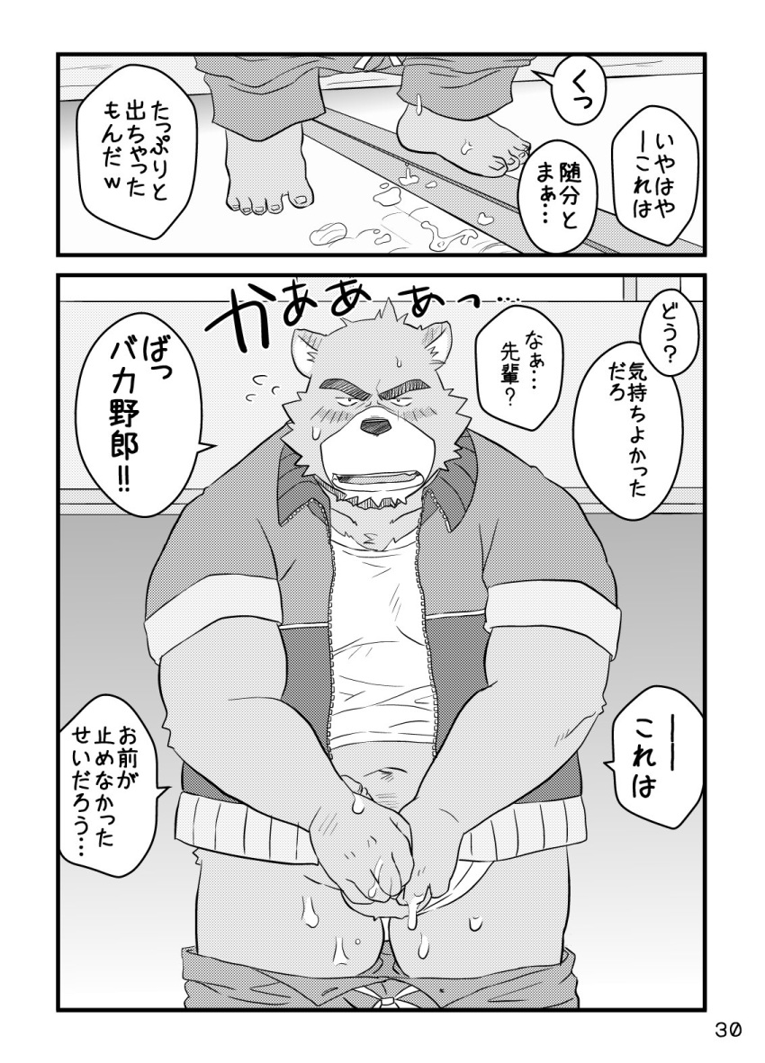 2019 after_masturbation anthro balls belly blush clothing comic cum hi_res humanoid_hands japanese_text juuichi_mikazuki kumacchi male male_only mammal morenatsu navel overweight overweight_male pants penis shirt solo text topwear translation_request ursid