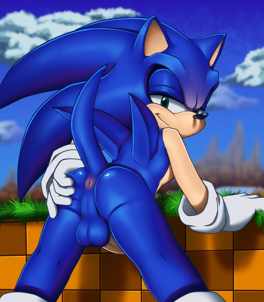 anthro anus balls bedroom_eyes erection eulipotyphlan exposed_torso footwear gloves half-closed_eyes handwear hedgehog hi_res humanoid looking_at_viewer male male_only mammal mostly_nude nowykowski7 outside presenting seductive shoes solo solo_male sonic_(series) sonic_the_hedgehog spiky_hair