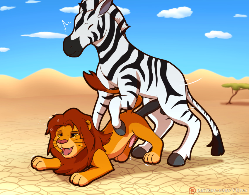 anal anal_sex animal_genitalia animal_penis balls disney duo equid equine erection felid feral feral_on_feral from_behind_position fur gay lion male male_only male_penetrating mammal open_mouth pantherine penetration penis sex simba size_difference smile the_lion_king vitrex yaoi zebra