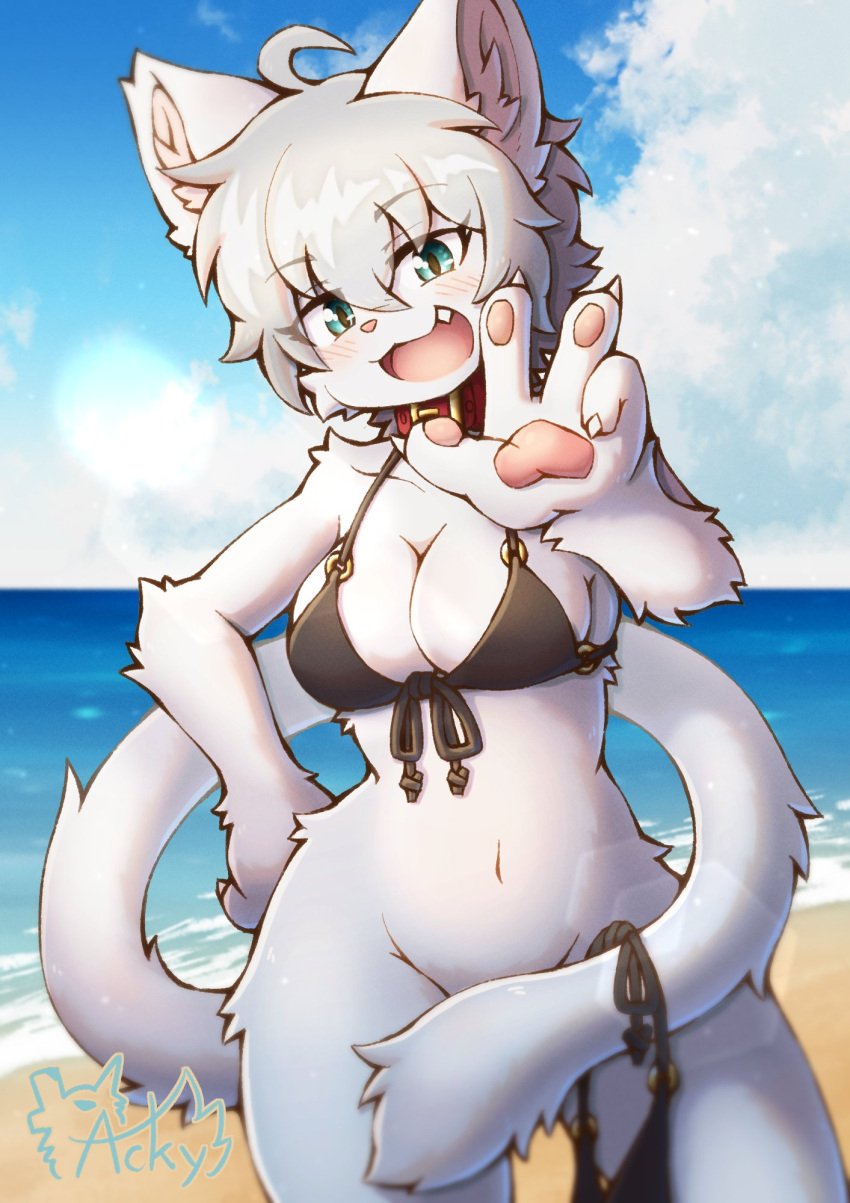 
4_fingers 
domestic_cat 
hi_res acky05 anthro arm_tuft beach bikini bikini_bottom bikini_top black_bikini black_clothing black_swimwear bottomless breasts clothed clothing collar convenient_censorship eyebrow_through_hair eyebrows eyelashes felid feline felis female fingers fur gesture green_eyes hair hand_gesture inner_ear_fluff kemono looking_at_viewer mammal navel open_mouth outside pawpads penile red_collar sex short_hair shoulder_tuft side-tie_bikini solo string_bikini swimwear tail tail_censorship translucent translucent_hair tuft two-piece_swimsuit v_sign white_body white_fur white_hair