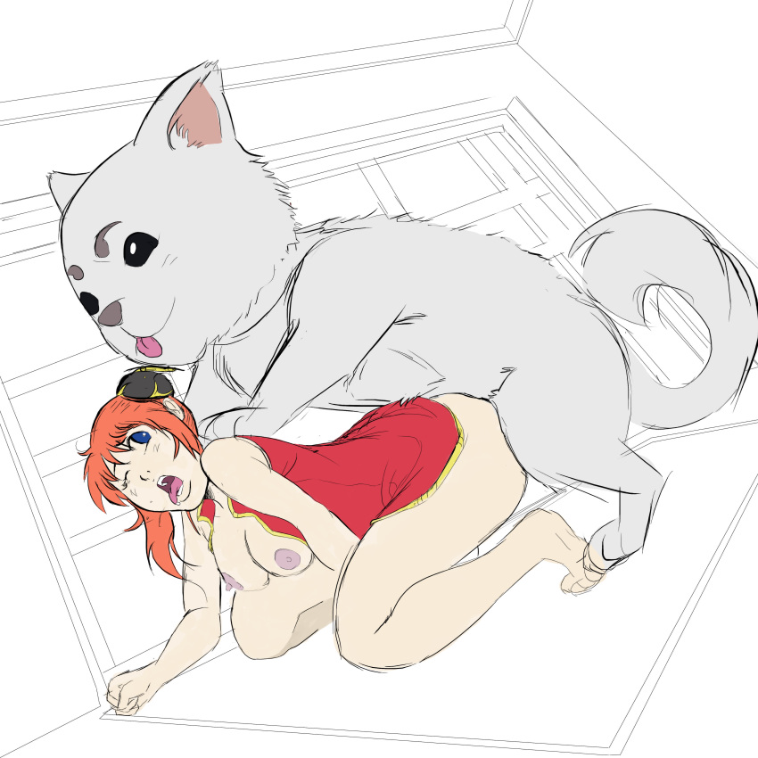 1girls alternate_breast_size bestiality blue_eyes breasts breasts_out bun_cover chinese_clothes dog doggy_style feral feral_on_female feral_on_human feral_penetrating gintama kagura_(gintama) medium_breasts no_bra no_panties orange_hair sadaharu tongue_out white_background white_fur zoophilia