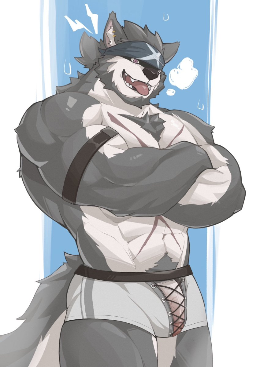 1boy abs animal_ears another_eidos_of_dragon_vein_r bara bicep_strap blue_headband boxers canid canine canis cross_scar dios_nennen english_commentary fangs flaccid fullhouse_(another_eidos) furry furry_male headband highres looking_at_viewer male male_focus male_only male_underwear muscular muscular_male open_mouth pectorals penis scar scar_on_chest scar_on_stomach sweat tail tongue tongue_out topless_male underwear white_male_underwear wolf