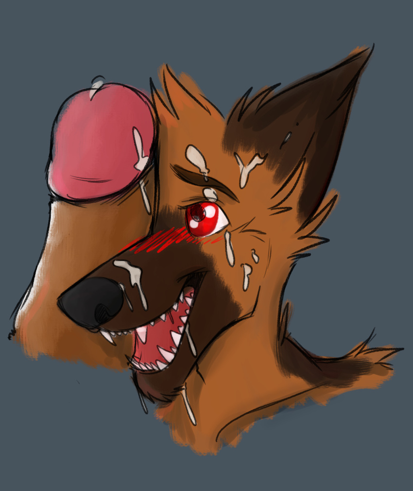 absurd_res alejandrogsd_(artist) blush canid canine canis cum domestic_dog german_shepherd herding_dog hi_res male male_only mammal pastoral_dog penis