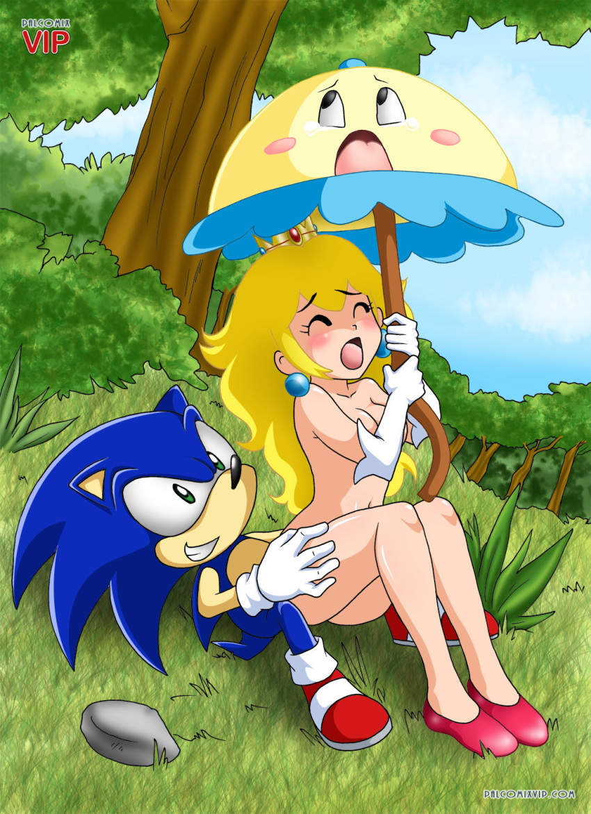 1boy 1girls anthro bbmbbf blonde_hair blush bushes cheating crossover female grin happy happy_sex interspecies male mario_(series) moan moaning mountain netorare nintendo outdoor_sex outdoors palcomixvip.com parasol perry_(nintendo) princess_peach scream screaming smile sonic_(series) sonic_the_hedgehog straight super_princess_peach umbrella