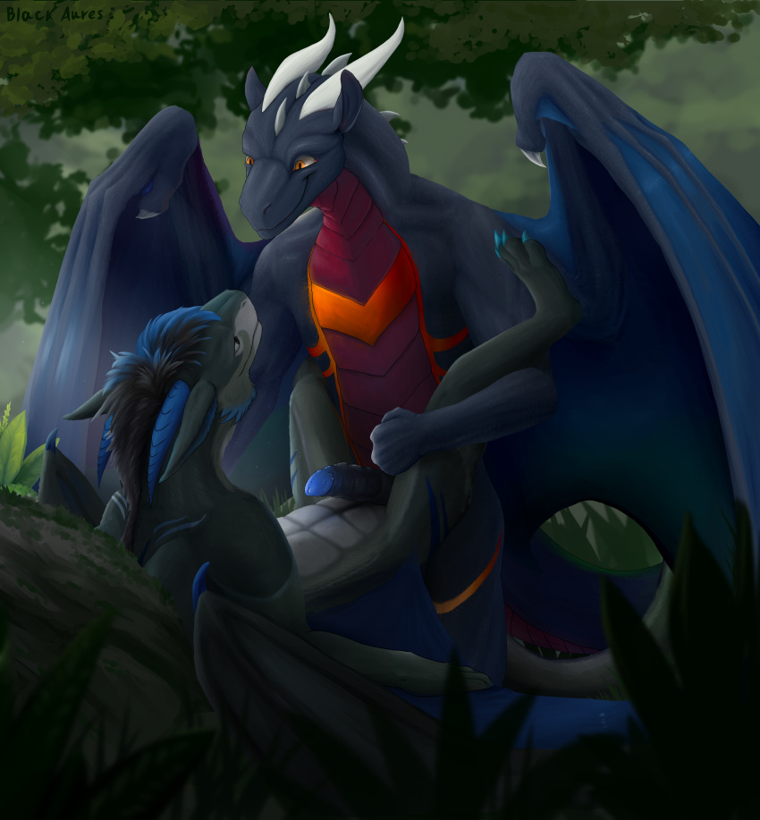 absurd_res anthro blackaures bunsen dragon forest hi_res horn male paws penis scalie tree western_dragon wings yaoi