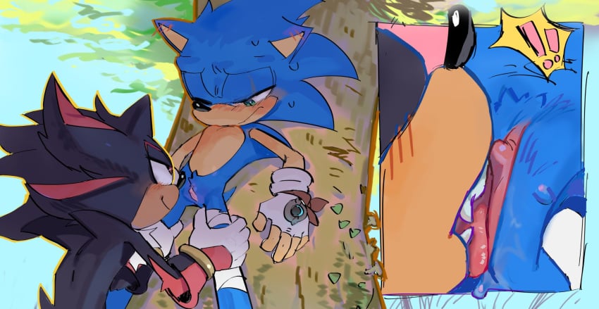 Shadow The Hedgehog (Sonic (Series)) Rule 34 Image
