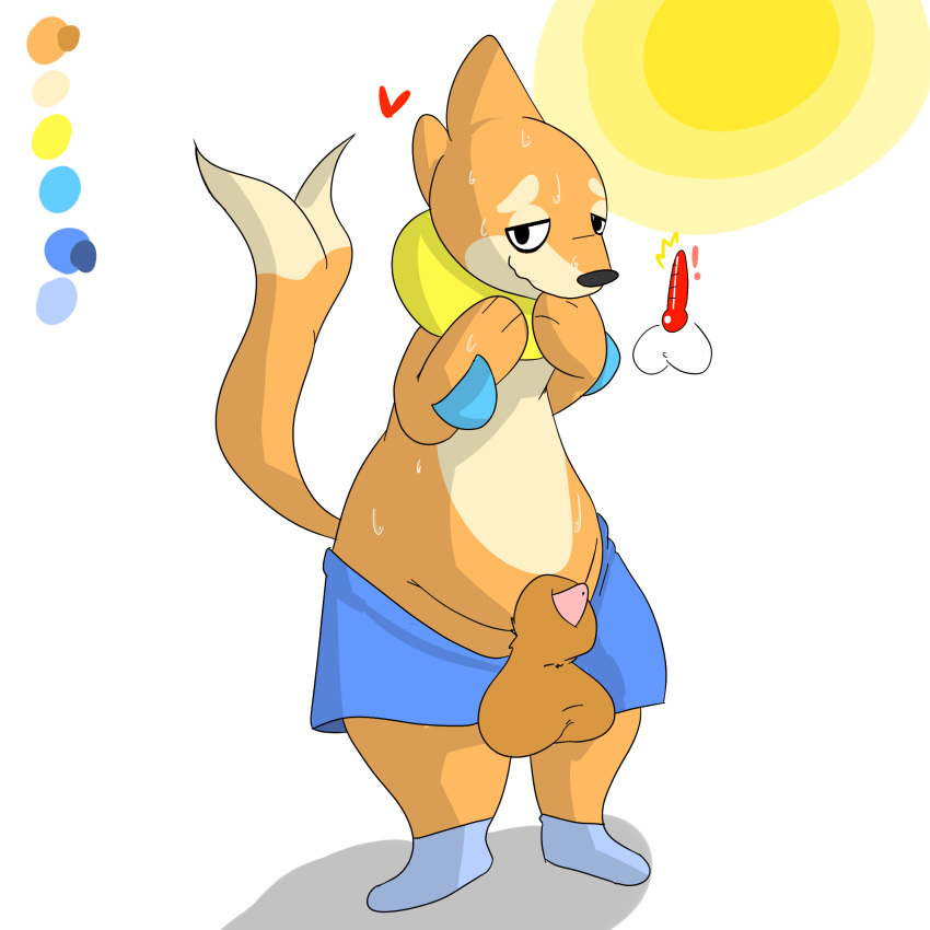 1:1 1boy alternate_color animal_genitalia anthro anthrofied bottomwear buizel chubby clothing fur furry heart hi_res male male_only matchesyashi nintendo orange_fur original_character pants penis pokémon_(species) pokemon pokemon_dppt sheath shell shy simple_background solo sun sweat testicles video_games white_background