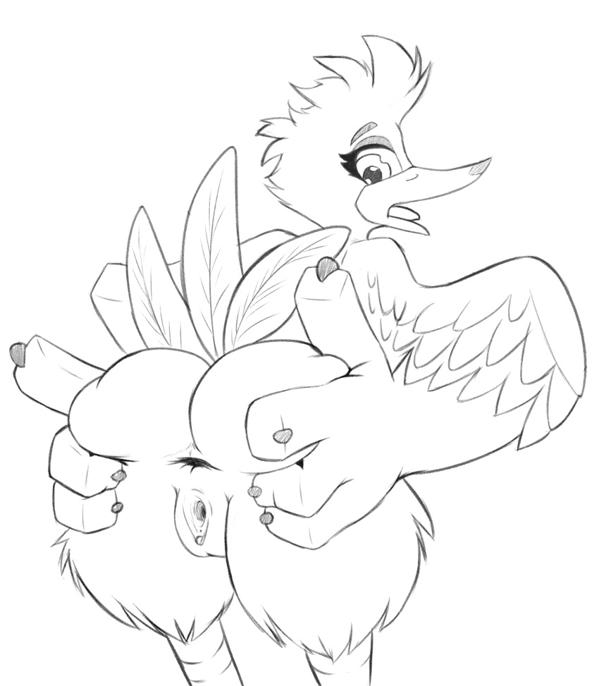 Kazooie (Banjo-Kazooie) Rule 34 Image