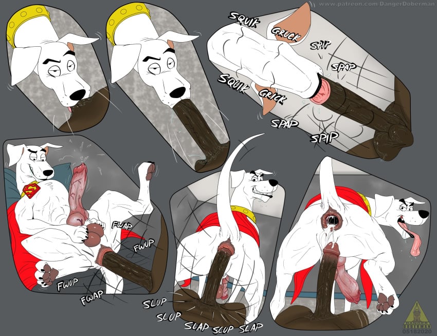 anal anal_sex anus balls big_penis blowjob canid canine canine_penis canis cum cum_in_ass cum_inside dangerdoberman dick domestic_dog erection feral gaping gaping_anus knot krypto krypto_the_superdog male male/male oral penis precum tongue tongue_out veiny_penis zoophilia