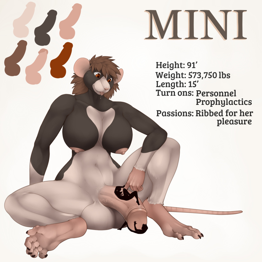 2018 5_toes ambiguous_gender anthro areola balls breasts english_text fasttrack37d furry futanari group hair hi_res humanoid_penis intersex intersex/ambiguous macro mammal model_sheet nipples nude penis rodent simple_background size_difference smile spread_legs spreading text toes tongue tongue_out