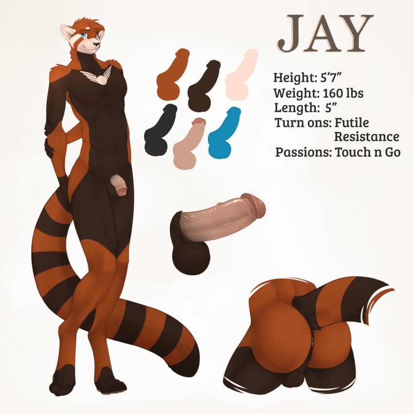 2018 4_toes ailurid anthro anus ass balls black_nose blue_eyes english_text fasttrack37d hi_res humanoid_penis jay_(draco32588) looking_at_viewer male mammal model_sheet nude penis red_panda simple_background smile solo text toes vein