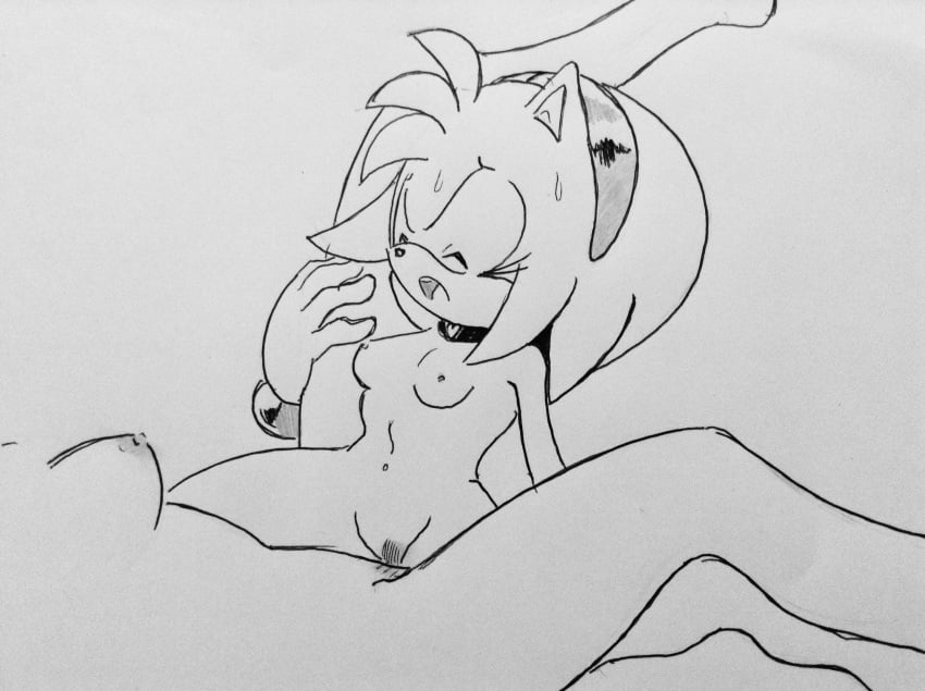 2girls amy_rose anthro breasts female furry human_on_anthro nude pubic_hair randomguy999 sonic_(series) tribadism yuri