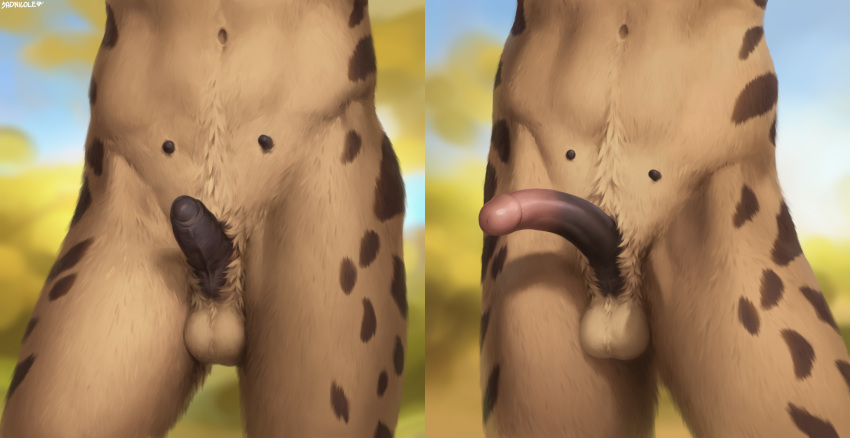 anatomically_correct anatomically_correct_pussy animal_genitalia anthro atrumpet crotch_focus erect_penis erection faceless_anthro faceless_character faceless_female fake_balls female genitals hi_res hyena mammal navel nyasi_(atrumpet) penis pseudo-penis retracted_pseudo-penis sadnicole solo tagme teats variations