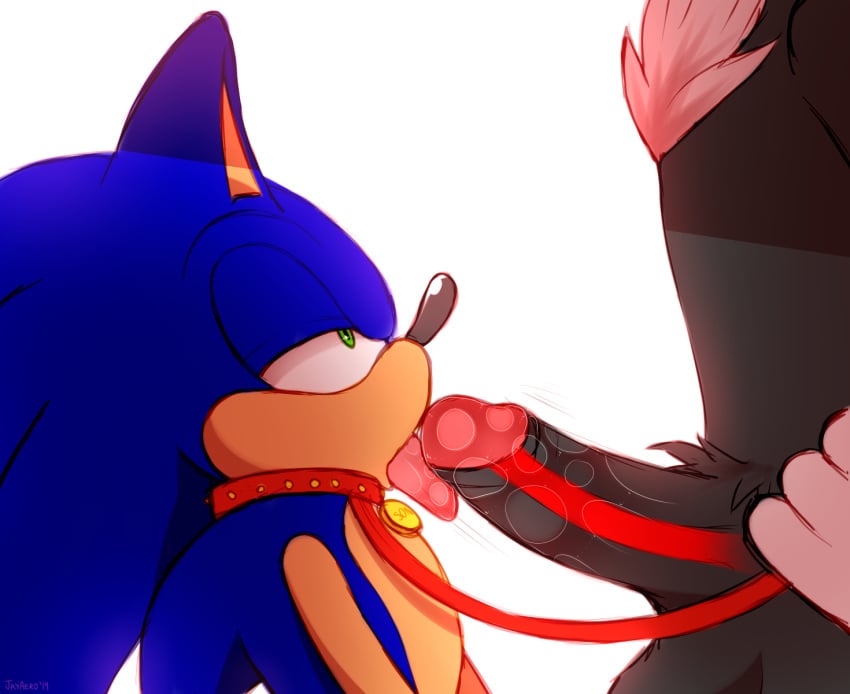 anthro bodily_fluids chest_tuft collar duo erection eulipotyphlan fur furry gay green_eyes half-closed_eyes hedgehog highres humanoid_penis jayaero leash licking male mammal open_mouth oral penile penis penis_lick pubic_hair saliva sex shadow_the_hedgehog sonadow sonic_(series) sonic_the_hedgehog testicles tongue tongue_out tuft yaoi