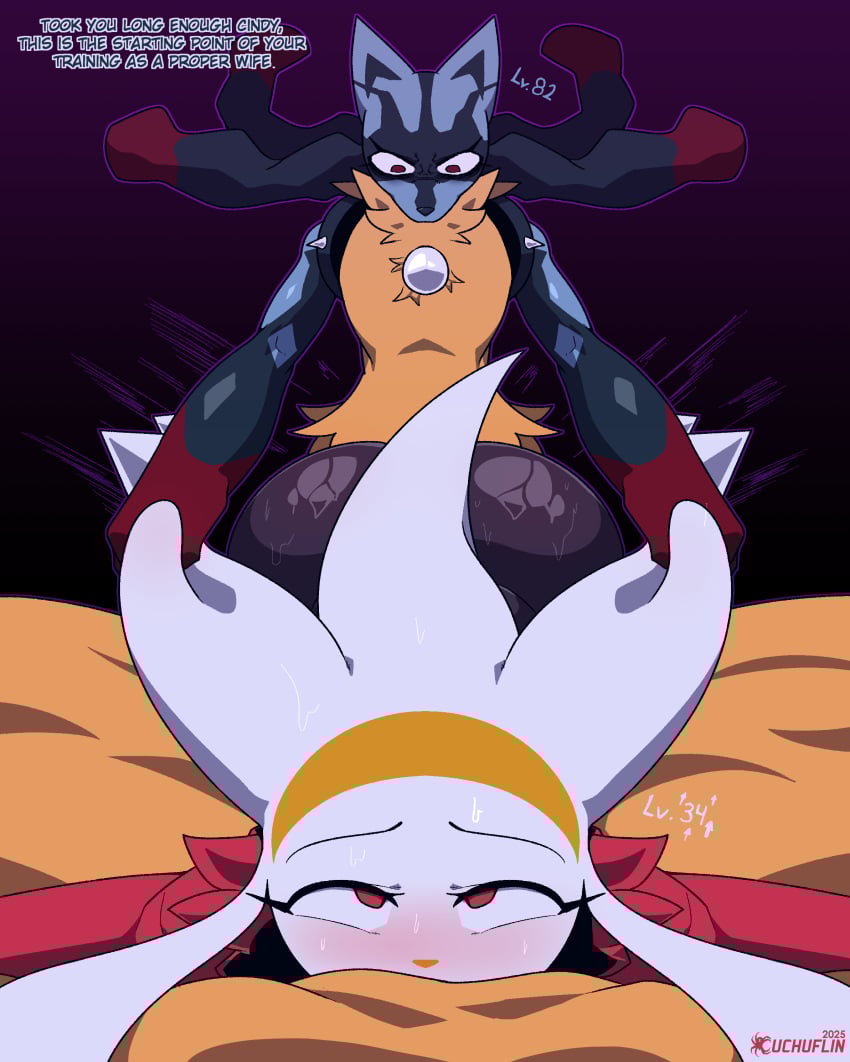 cuchuflin lucario nintendo pokemon pokemon_(species) raboot