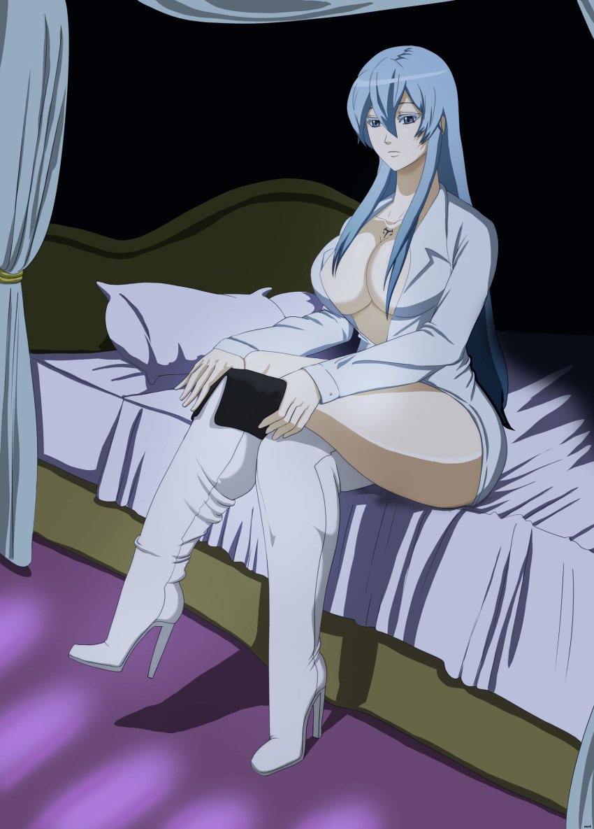 akame_ga_kill! artist_request blue_hair boots esdeath_(akame_ga_kill!) female_only salazr4 tagme