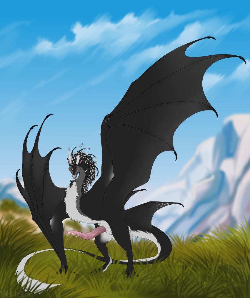 4_eyes absurd_res belly black_body black_fur bodily_fluids broken_horn detailed_background dragon european_mythology feral fur genital_fluids genitals grass hi_res horn male mane multi_eye mythological_creature mythological_scalie mythology nivalisdolorem penis pink_penis plant precum precum_string red_eyes scalie sky solo tail tail_tuft tapering_penis tuft western_dragon white_belly white_body white_fur white_horn white_nose wings wyvern