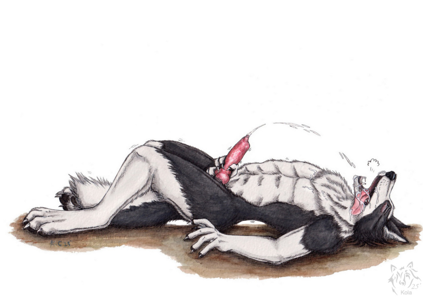 2025 4_toes 5_fingers abs anatomically_correct anatomically_correct_genitalia anatomically_correct_penis animal_genitalia animal_penis anthro arched_back artist_logo athletic athletic_anthro athletic_male big_penis biped black_body black_fur black_lips black_nose black_pawpads blush bodily_fluids border_collie breath canid canine canine_genitalia canine_penis canis claws closed_eyes collie cum cum_in_mouth cum_in_own_mouth cum_in_self cum_inside cum_on_chest cum_on_face cum_on_own_chest cum_on_own_face cum_on_own_snout cum_on_self cum_on_snout cumshot digitigrade domestic_dog ejaculation erection feet finger_claws fingers floppy_ears fluffy fluffy_tail fur genital_fluids genitals grey_claws hand_on_penis head_back herding_dog knot kola_(artist) lips logo looking_pleasured lying male mammal masturbation motion_lines multicolored_body multicolored_fur neck_tuft nude on_back open_mouth orgasm orgasm_face painting_(artwork) panting pastoral_dog pawpads paws penile penile_masturbation penis penis_grab pink_penis raised_paw shaded sharp_teeth sheepdog signature simple_background snout solo tail teeth toe_claws toes tongue tongue_out traditional_media_(artwork) traditional_painting_(artwork) traditional_watercolor_(artwork) tuft two_tone_body two_tone_fur watercolor_(artwork) whisker_spots white_background white_body white_fur