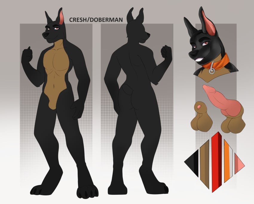 absurd_res animal_genitalia anthro black_body black_fur black_nose brown_body brown_fur canid canine canine_genitalia canis collar collar_only digital_drawing_(artwork) digital_media_(artwork) dobermann domestic_dog fur genitals hi_res male mammal model_sheet nude nude_anthro nude_male orange_collar pamen pamenpie penis pink_penis pinscher red_eyes reference_image solo