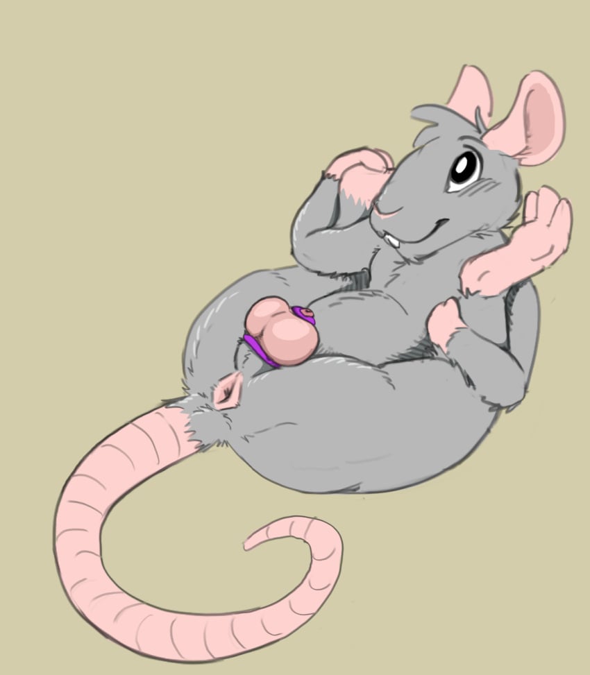 anthro anus anus_focus ass balls chastity_cage chastity_cage_only chastity_device chastity_device_only fisk24 fisky_(fisk24) flexible hi_res legs_behind_head legs_up male mammal nude presenting presenting_anus presenting_balls presenting_hindquarters rodent rodent_ears rodent_tail solo spread_legs spreading wearing_chastity_cage wearing_chastity_device