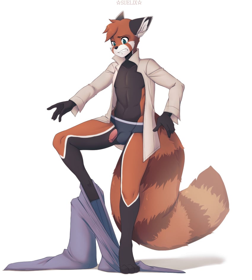 ailurid anthro bulge clothed clothing flaccid hi_res humanoid_penis male male_only mammal open_shirt penis penis_through_leghole poking_out red_panda solo standing suelix undressing