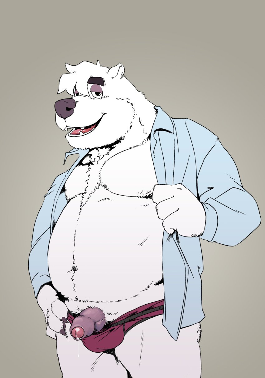 2019 absurd_res aggressive_retsuko anthro balls belly bodily_fluids bulge clothing cum fur genital_fluids hi_res humanoid_hands humanoid_penis male male_only mammal moobs navel overweight overweight_male penis polar_bear polarwave sanrio shirota simple_background smooth_fur solo teeth tongue underwear ursid ursine white_fur