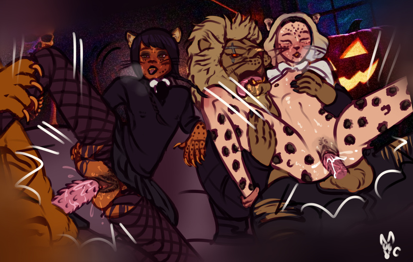 Animal Genitalia Rule 34 Image