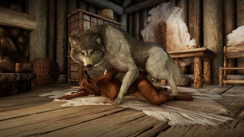 animal_genitalia anthro brown_fur domestic_dog ear_piercing feral_on_anthro feral_penetrating feral_penetrating_anthro from_behind game_screenshot grey_fur husky inside khajiit knot male/female nose_piercing pinned sktorus skyrim zoophilia