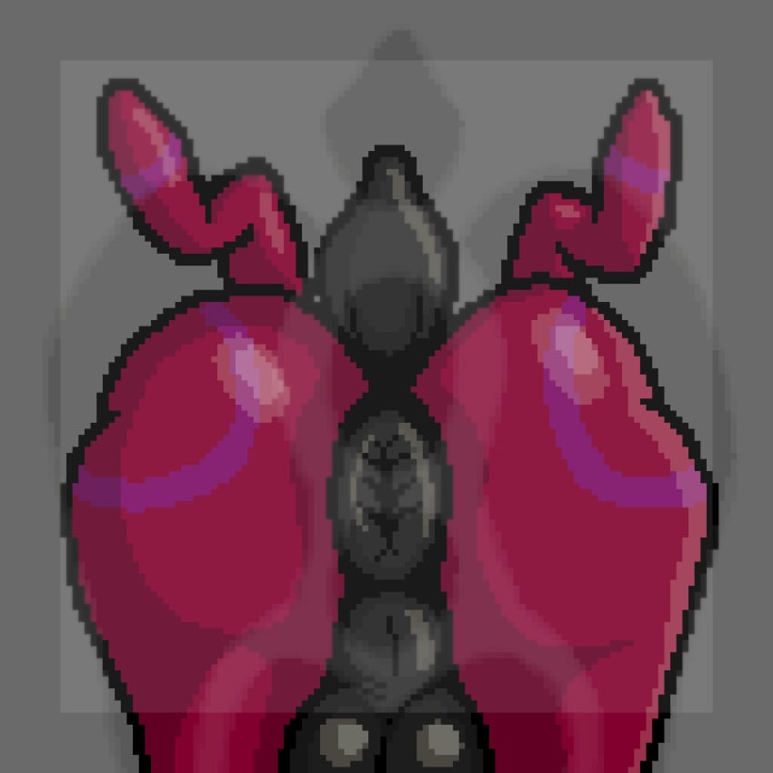 1:1 against_surface animated anus ass balls big_balls big_butt digital_media_(artwork) feral generation_5_pokemon genitals hi_res impact_lines male male_only motion_lines nintendo noodlybat_(artist) on_glass perineum pixel_(artwork) pixel_animation pokemon pokemon_(species) presenting puffy_anus rear_view red_body scolipede short_playtime solo solo_male tail