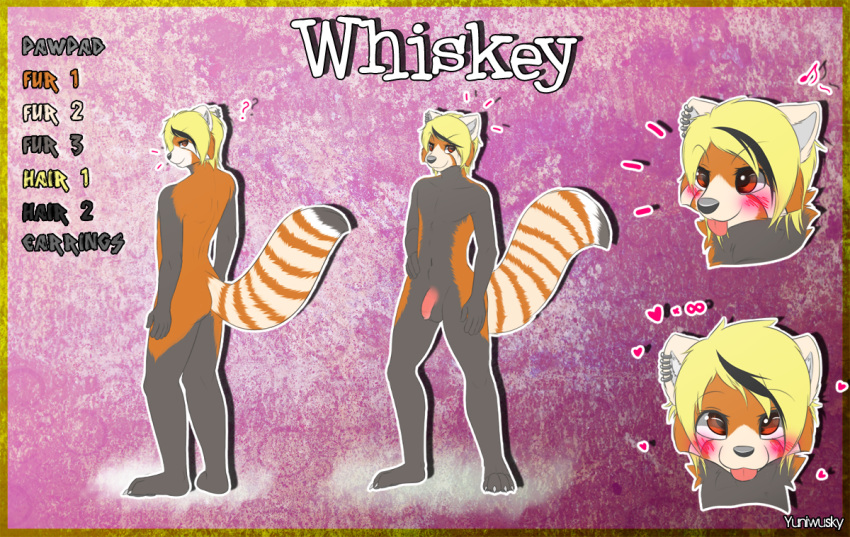 1boy ailurid anthro balls blonde_hair ear_piercing ear_ring english_text fur grey_fur hair heart looking_at_viewer male male_only mammal model_sheet multicolored_fur nude orange_fur penis piercing red_eyes red_panda solo standing text tongue tongue_out whiskey_(redwhiskey) white_fur yuniwolfsky