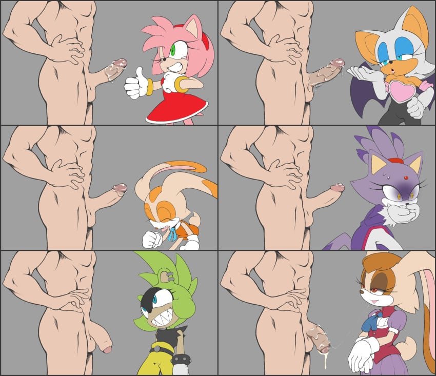 after_fellatio after_oral amy_rose blaze_the_cat blowjob cream_the_rabbit fellatio fufuisufu human human_on_anthro mobian_(species) rouge_the_bat saliva saliva_on_penis sharp_teeth sonic_(series) sonic_the_hedgehog_(series) surge_the_tenrec tagme uncircumcised vanilla_the_rabbit