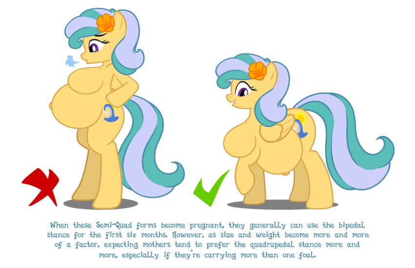 anatomically_incorrect anthro arm_hooves belly belly_button bi-quad big_belly bipedal breasts demonstration female flashequestria flower flower_in_hair mare my_little_pony oc oc_only pacific_greeze_(oc) pegasus pregnant quadrupeal quadrupeal_chest_boobs simple_background solo standing unguligrade_anthro white_background