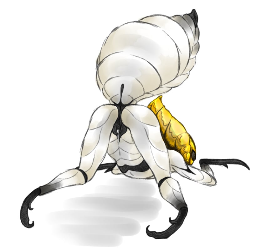 arthropod ass_up female from_behind godseeker hollow_knight insects keeyitlowkey no_humans presenting pussy simple_background white_background