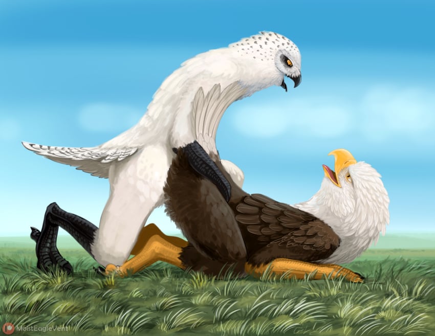 accipitrid accipitriform all_fours anthro avian avian_feet bald_eagle beak bird bubo_(genus) claws cloud doggy_style duo eagle feathers from_behind_position kneeling looking_back looking_back_at_another looking_back_at_partner male male/male male_penetrated male_penetrating male_penetrating_male moisteaglevent on_grass on_ground open_beak open_mouth owl penetration sea_eagle sex sky snowy_owl tail_feathers true_owl yellow_eyes