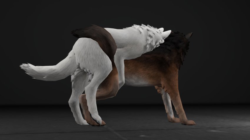 canine canine_genitalia canine_penis depth_of_field duo feral feral_on_feral feral_penetrated feral_penetrating male/female second_life self_upload videogame white_fur wolf zeevwolf