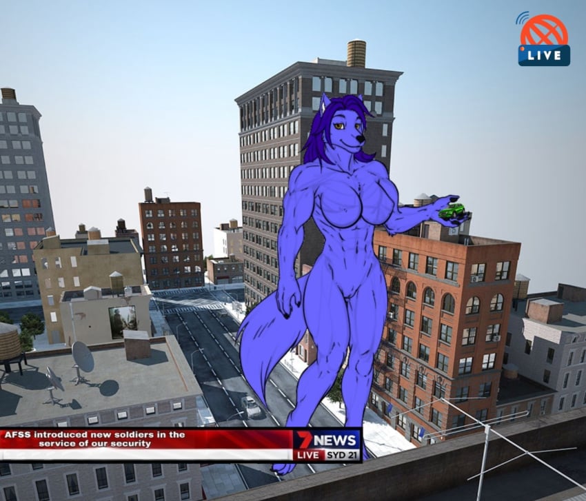 anthro big_breasts blue_hair breasts canid canine canis car city digital_media_(artwork) english_text female fur hair heavygusttaf hopey macro macrofurry mammal muscular news nipples nude pussy smile solo text vehicle wolf