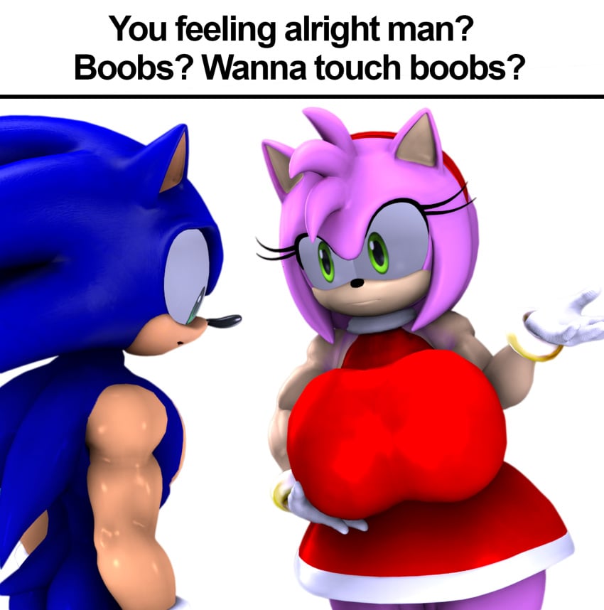 3d amy_rose big_breasts boobs?_wanna_touch_boobs? english_text looking_at_breasts meme meme_caption sonic_(series) sonic_the_hedgehog tagme text theashsfm