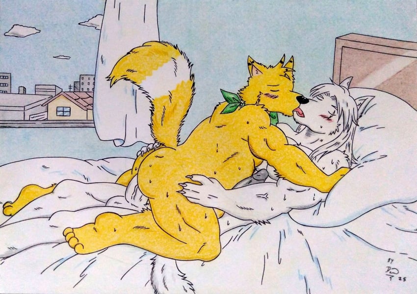 2025 anal anal_sex anthro arctic_wolf ass balls barazoku bed bed_sheet bedding bedroom biceps black_nose black_penis blush blush_lines bodily_fluids bruno_o_donnell canid canine canis city closed_eyes cloud colored_pencil_(artwork) curtains dashfox dashthefox day duo erection fluffy fluffy_tail fox fur furniture genital_fluids genitals green_kerchief hair hi_res humanoid_genitalia humanoid_penis kerchief kissing long_hair male male/male male_penetrated male_penetrating mammal masculine_male musclegut muscular muscular_anthro muscular_arms muscular_male neckerchief neckwear nude nude_anthro nude_male on_bed penetration penile penis pillow sex sweat sweatdrop tail thick_penis traditional_media_(artwork) vein veiny_penis white_body white_fur white_hair white_penis window wolf yellow_body yellow_fur