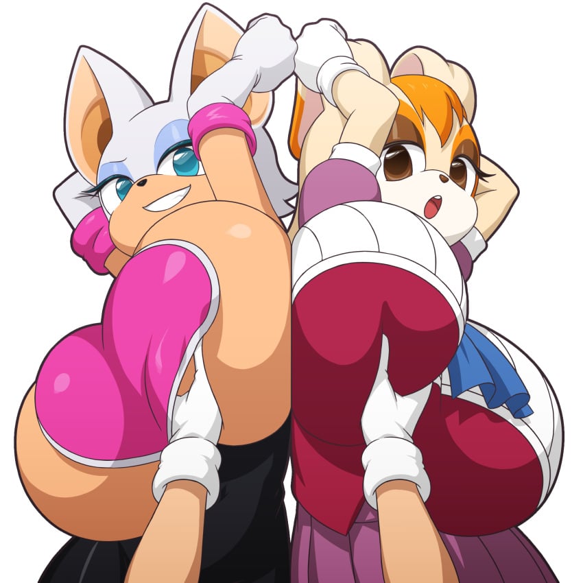 Rouge The Bat (Sega) Rule 34 Image
