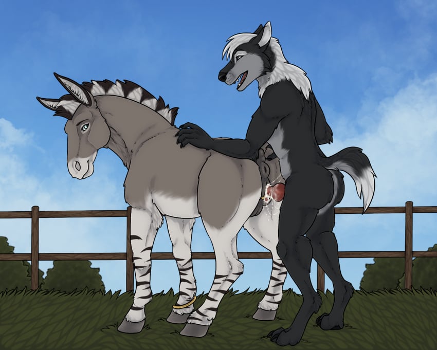 african_wild_ass anatomically_correct anatomically_correct_anus anatomically_correct_genitalia anatomically_correct_pussy animal_genitalia animal_penis animal_pussy anthro anthro_on_feral anthro_penetrating anthro_penetrating_feral anus asinus biped bodily_fluids canid canine canine_genitalia canine_penis canis claws cum cum_in_pussy cum_inside digitigrade dipstick_tail dock_(anatomy) duo equid equine equine_anus equine_genitalia equine_pussy erection feet female female_feral female_penetrated feral feral_penetrated genital_fluids genital_piercing genitals hi_res hindpaw hirofence hooves interspecies knot knotted_penis labia_piercing male male/female male_anthro male_penetrating male_penetrating_female mammal mane markings nightdancer_(character) paws penetration penile penile_penetration penis penis_in_pussy piercing pussy pussy_piercing quadruped raised_tail sex tail tail_anus tail_markings tj_(nightdancer) toe_claws unguligrade vaginal_penetration vaginal_penetration wolf zoophilia