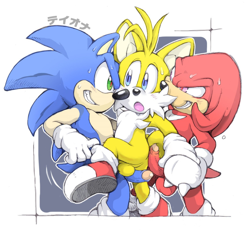 3boys anthro balls erosuke furry gay knuckles_the_echidna male male_only penis precum sonic_(series) sonic_the_hedgehog sweat tails team_sonic threesome