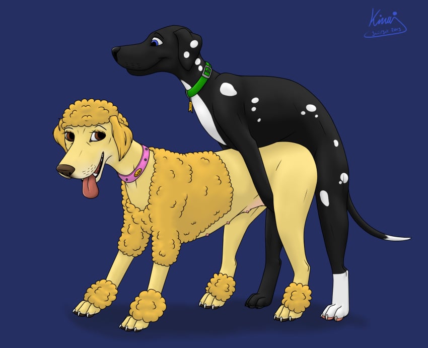 2019 ben_(kinaj) bird_dog black_labrador canid canine canis collar dalmatian domestic_dog duo female feral hi_res hunting_dog isabella_(kinaj) kinaj labrador male mammal mixed_breed nipples poodle retriever sex straight teats