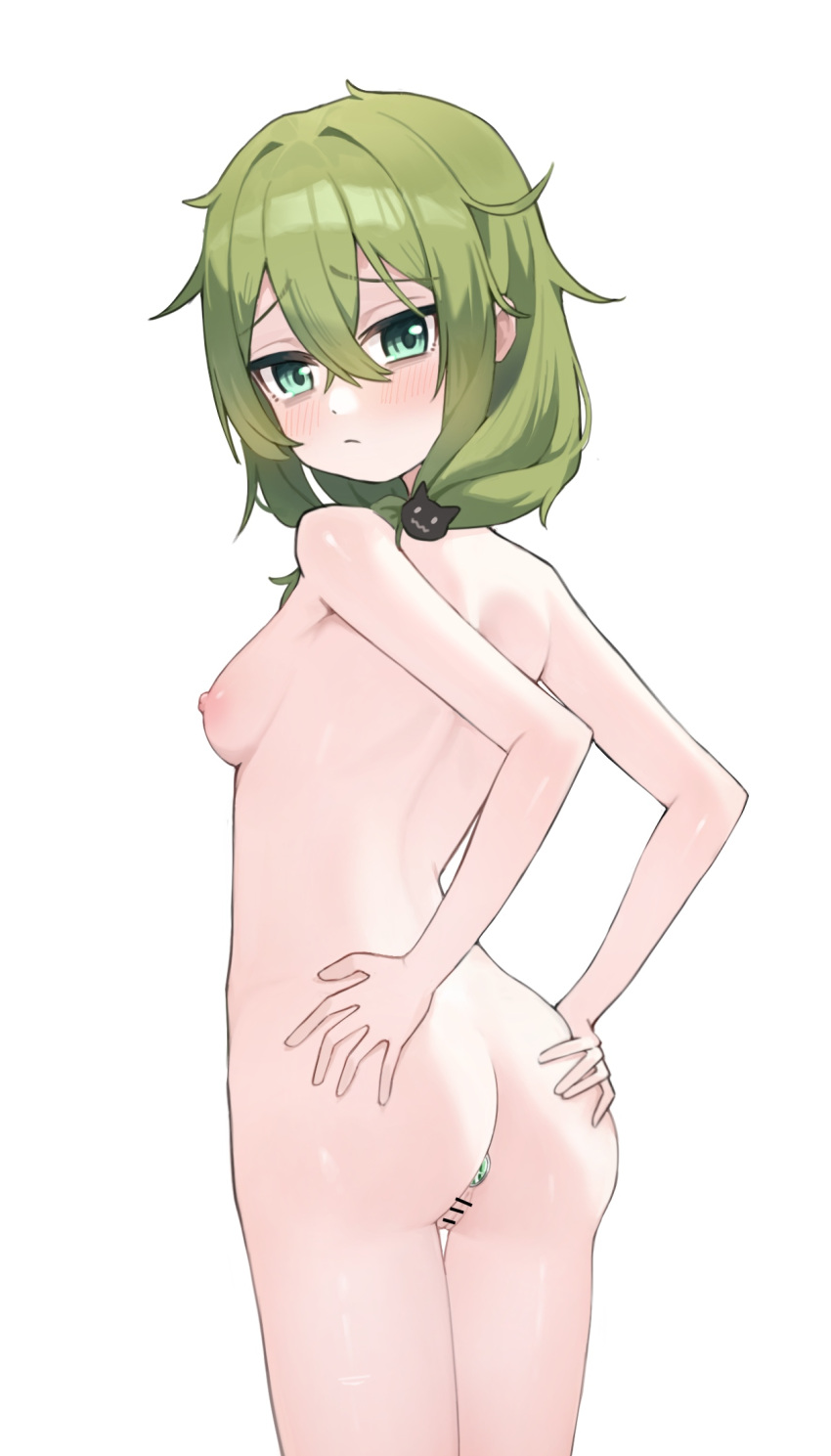 Honkai (Series) Rule 34 Image