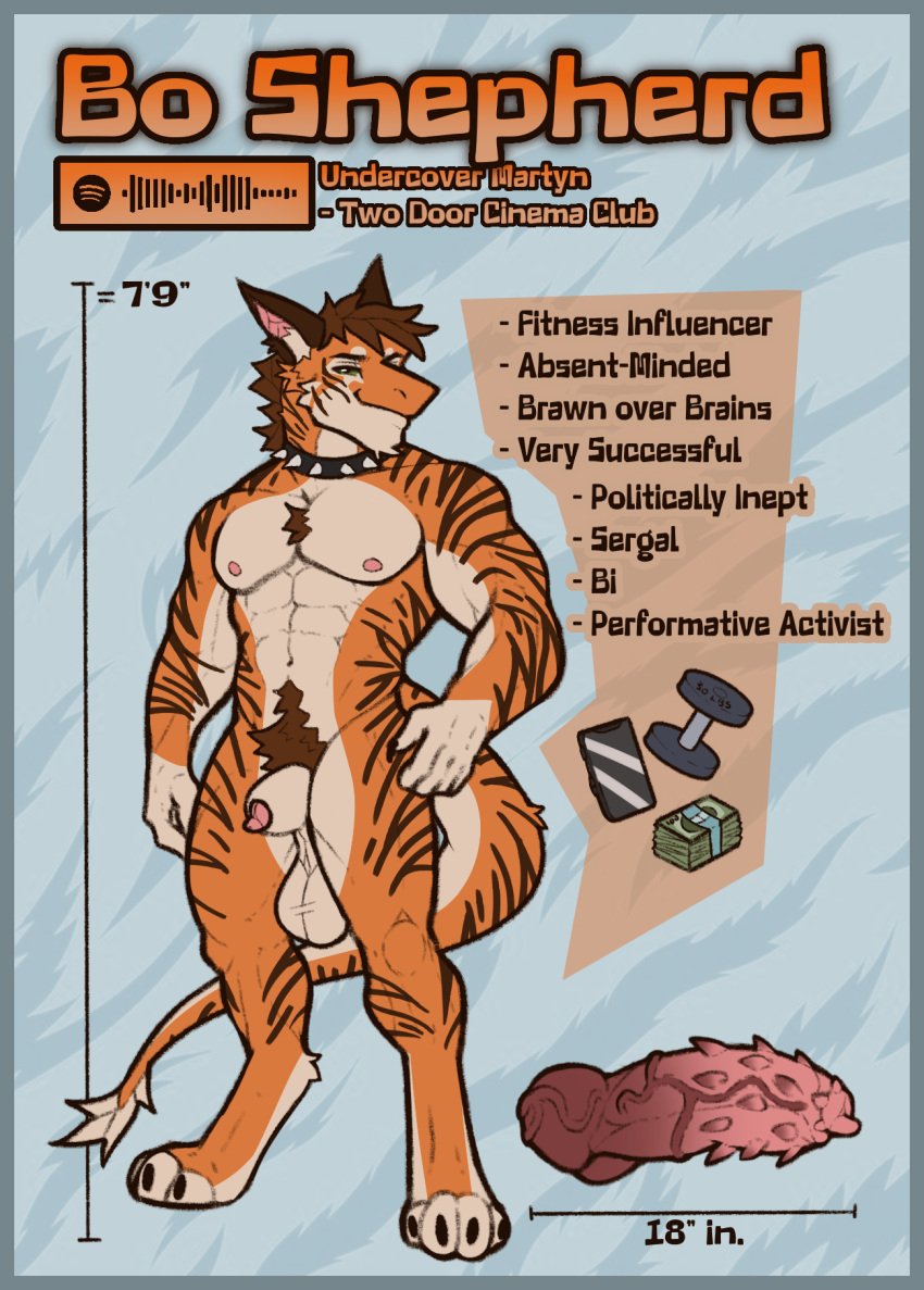 animal_genitalia anthro blue_border bo_shepherd border collar digitigrade english_text frenhm genitals green_sclera hi_res knot knotted_penis male model_sheet muscular penile_spines penis sergal sheath solo spiked_collar spikes stripes text