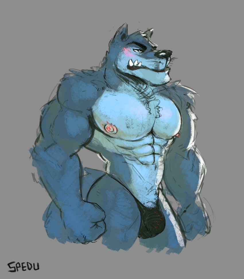 1male abs alpha_male anthro biceps big_bulge big_muscles big_pecs blush bulge canid canine canis clothed clothing digital_media_(artwork) fur gay hi_res male male_only mammal muscular muscular_male nipples pecs penis simple_background small_on_top solo spedumon topless underwear wolf wulfrick