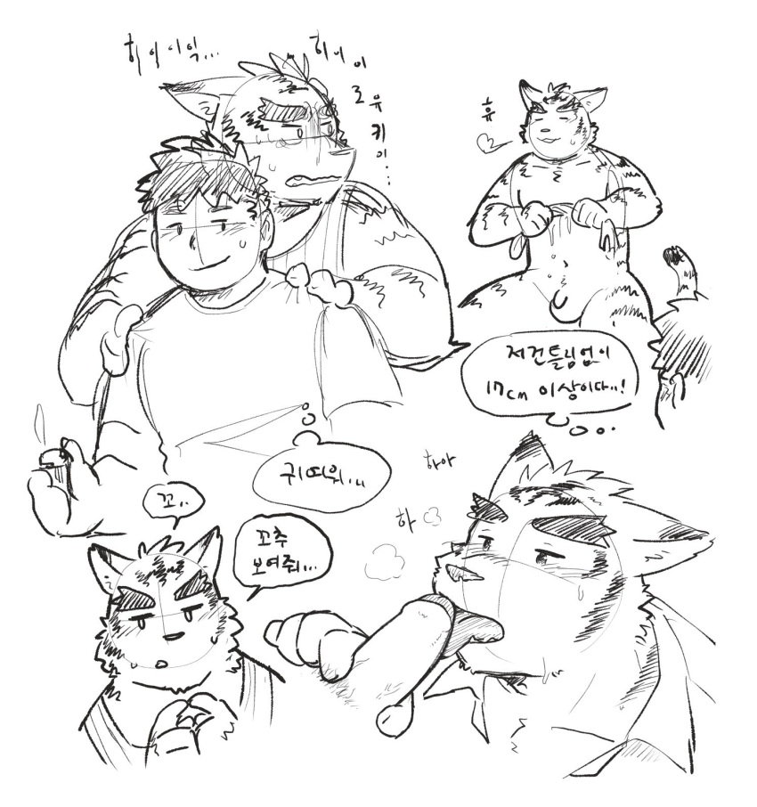 2019 blush duo felid hi_res hiroyuki_(morenatsu) human jeck licking male male/male mammal morenatsu pantherine penis simple_background sketch text tiger tongue tongue_out torahiko_(morenatsu) translation_request